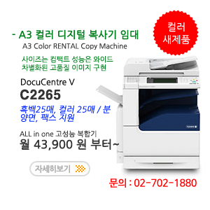 �÷� ������ �Ӵ� ���Ͻ� DC V-C2265